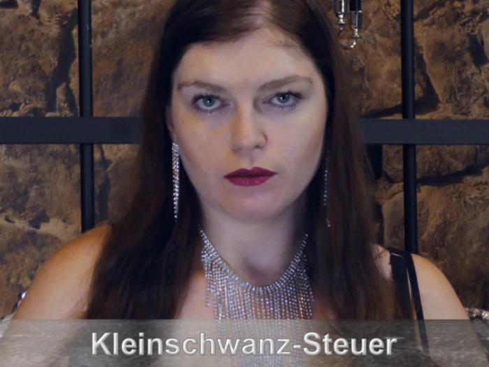 Klein[zensiert]steuer