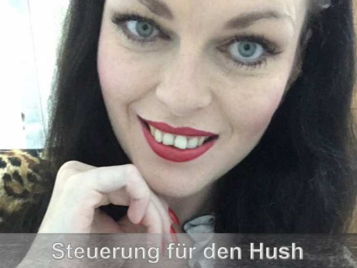 Steuerung Deines Lovense Analplug Hush