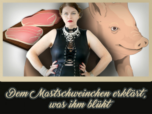 Dem Mastschweinchen erklärt, was ihm blüht
