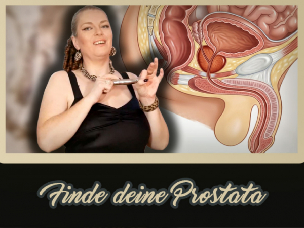 Finde deine Prostata